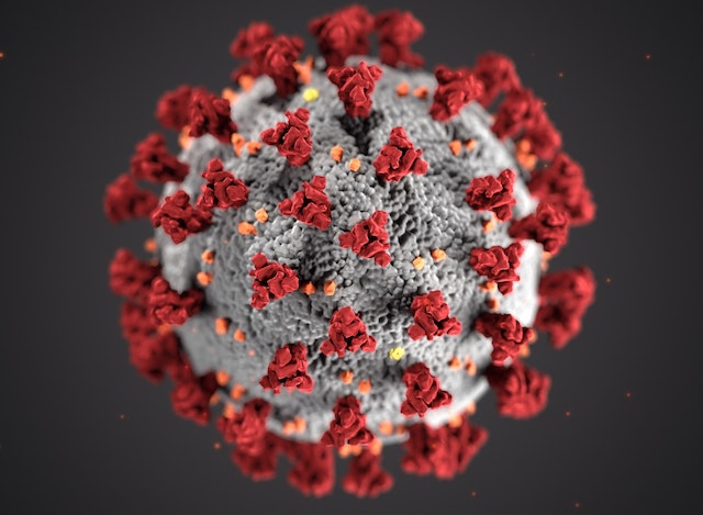 Corona Virus