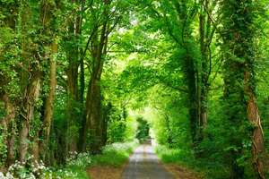 Driving in Spring
