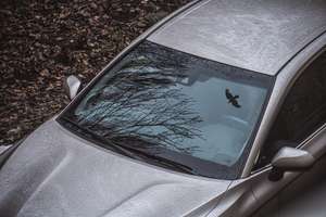 Windscreen